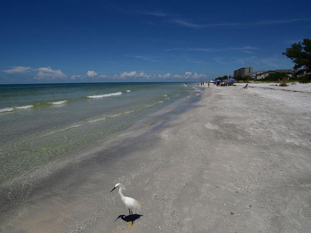 Gulf Retreat 2: Magnificent Water Views, Steps To Beach, None Cleaner, None Nicer! Clearwater Beach Dış mekan fotoğraf